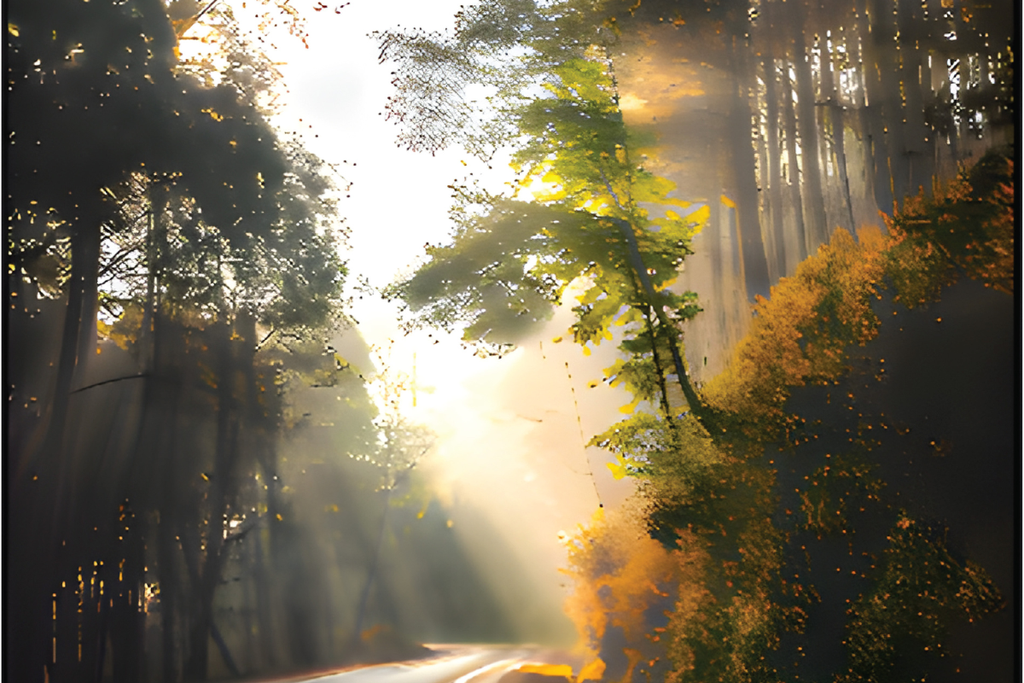  Forest Road  NF-WA-016